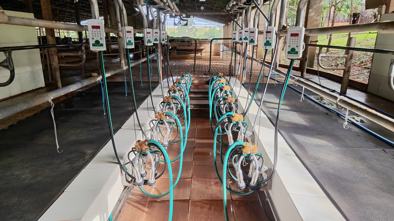 Imagen ilustrativa sobre normativa de calidad láctea