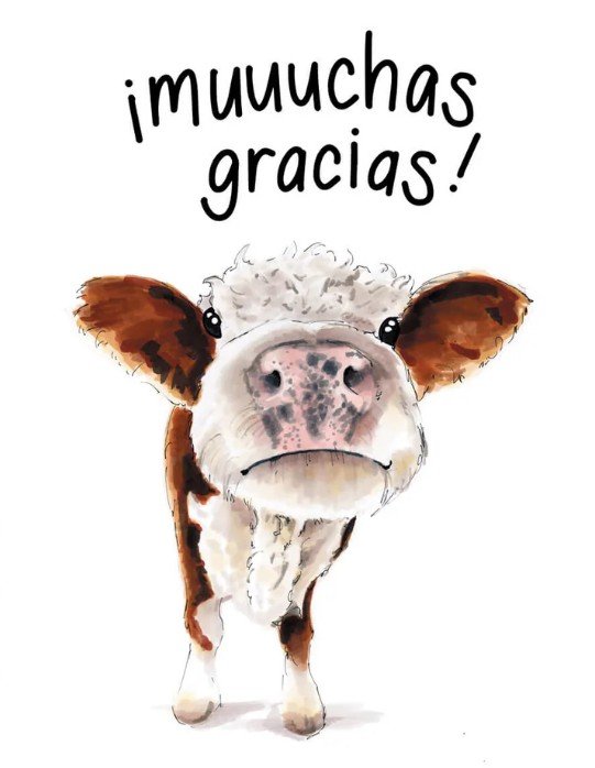 Anuncio PENCPL 2025 (ClauGonzalez)